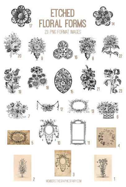 Etched Floral Forms List