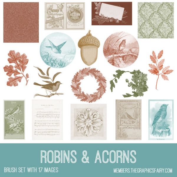 Robins & Acorns Brushes