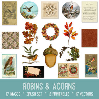 Robins & Acorns Graphics