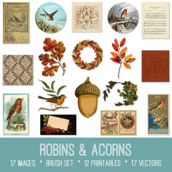 Robins & Acorns Graphics
