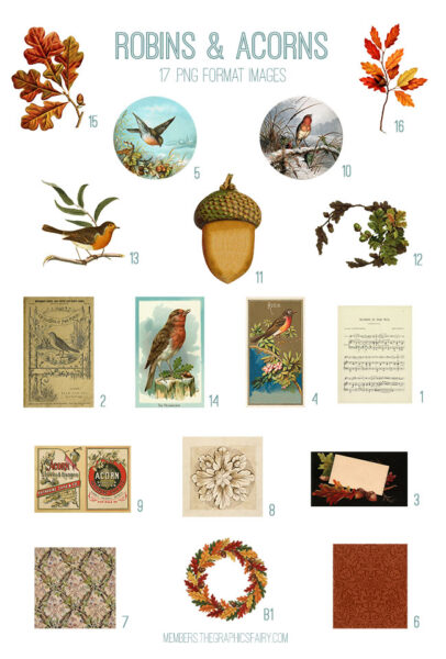 Robins & Acorns List
