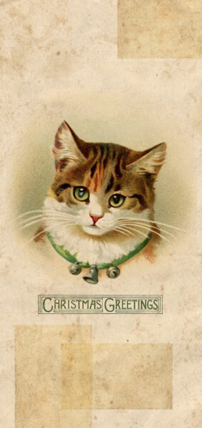 Christmas Wallpaper for iPhones - vintage cat