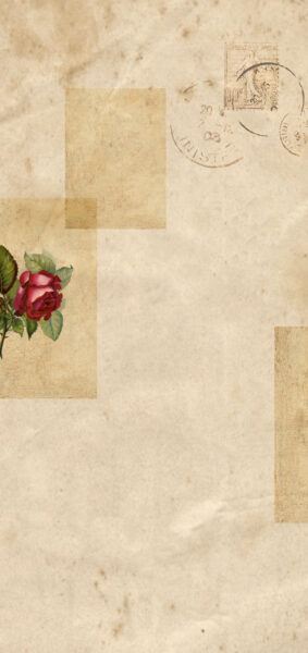 Christmas Wallpaper for iPhones - vintage red rose