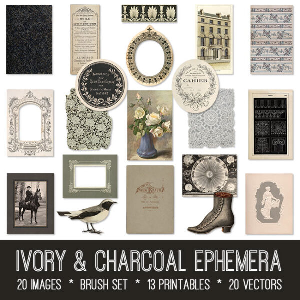 Ivory & Charcoal Graphics