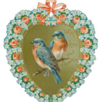 Bluebird Heart