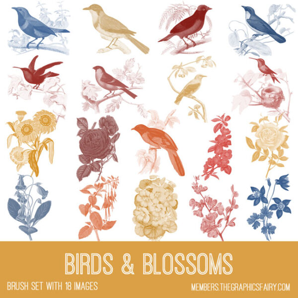 Birds & Blossoms Brushes