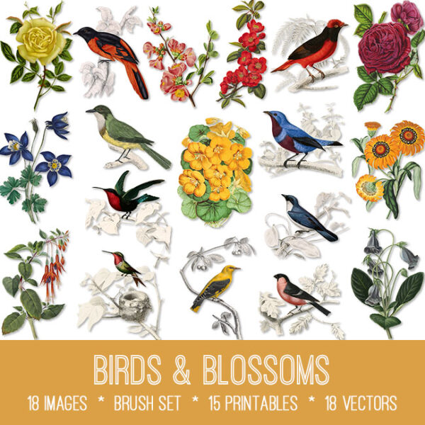 Birds & Blossoms Graphics