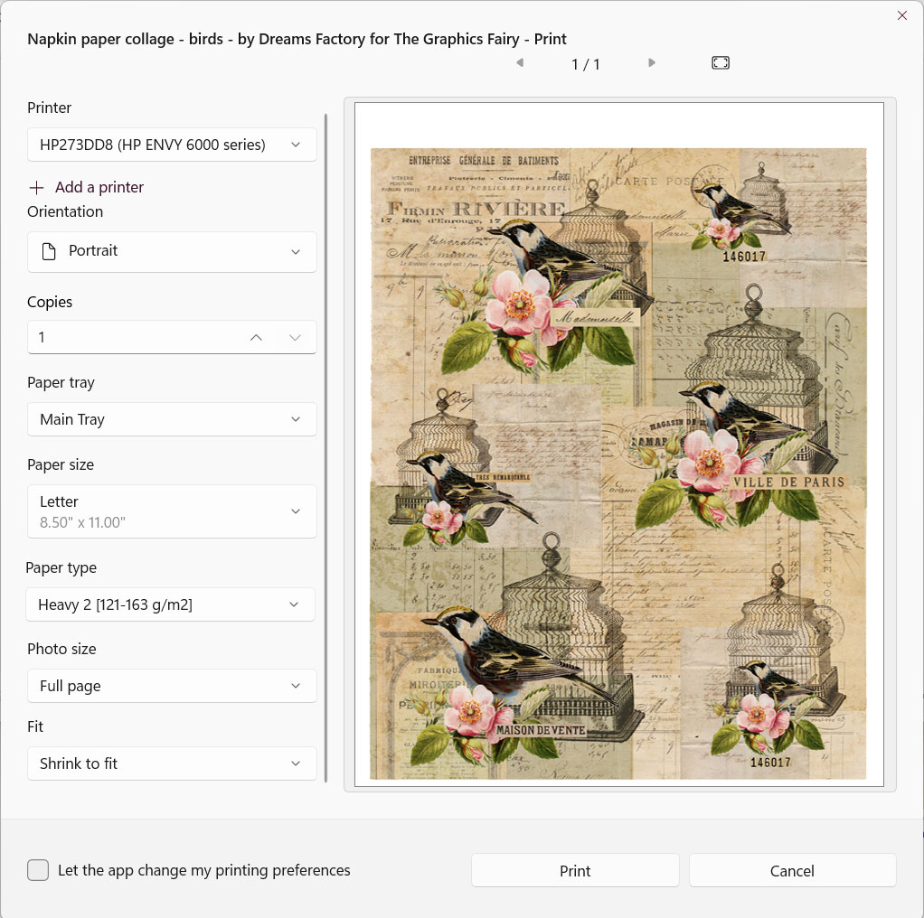 printer settings for paper napkin printing