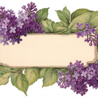 Lilac Label