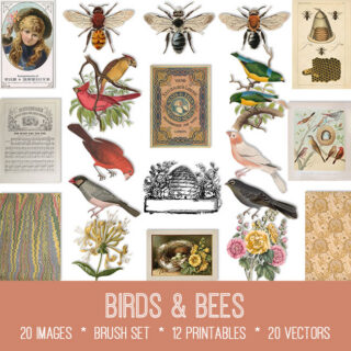 Birds & Bees Graphics