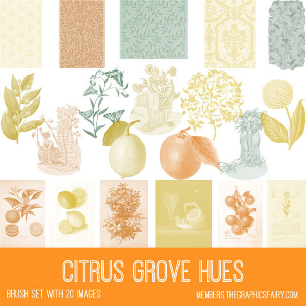 Citrus Grove Hues Brushes
