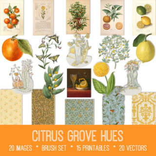 Citrus Grove Hues Graphics