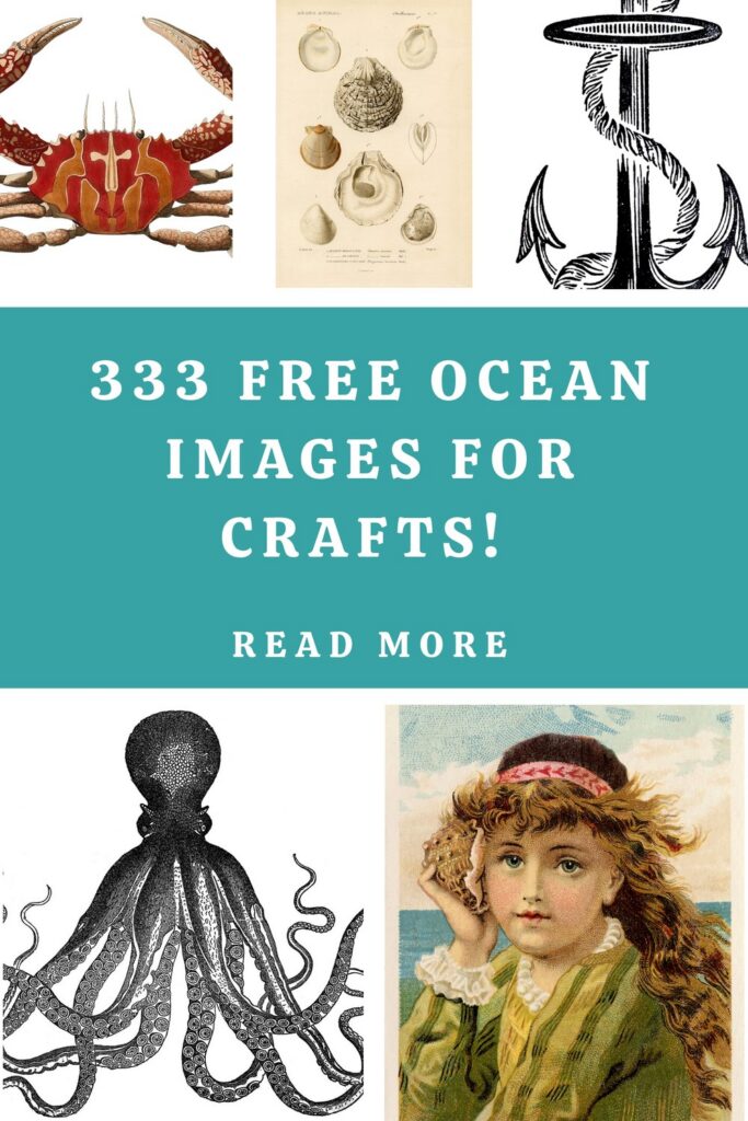 Free Ocean Images for Crafts Pin