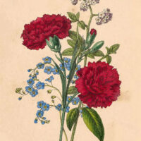 Red, white and blue bouquet