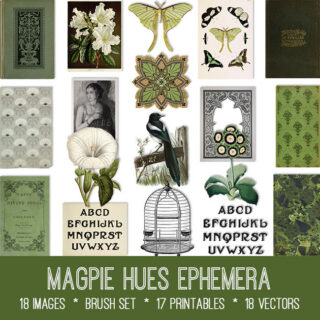 Magpie Hues Ephemera