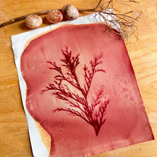 Heavy Borax and heavy turmeric dye on photo paper