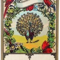 Peacock Label