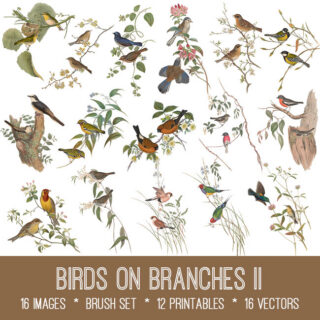 Birds on Branches II Graphics