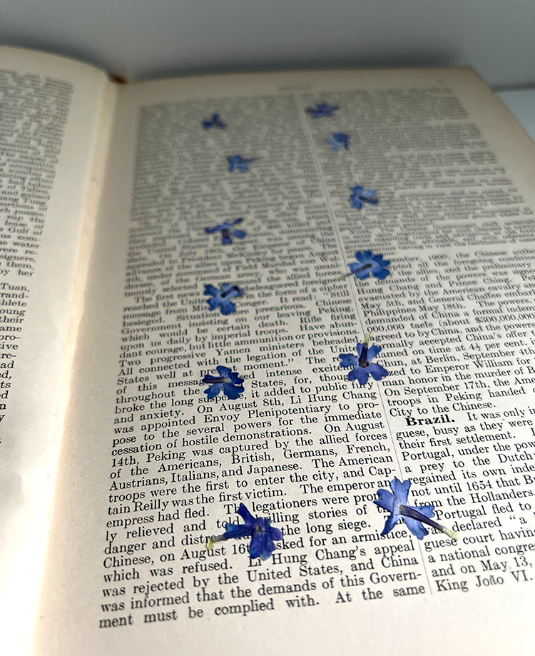 Dried flowers in book