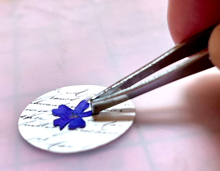 Place pressed flower on background paper circle