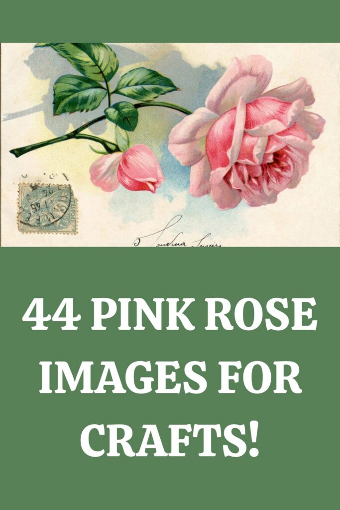 Pink rose Images for Crafts Pin