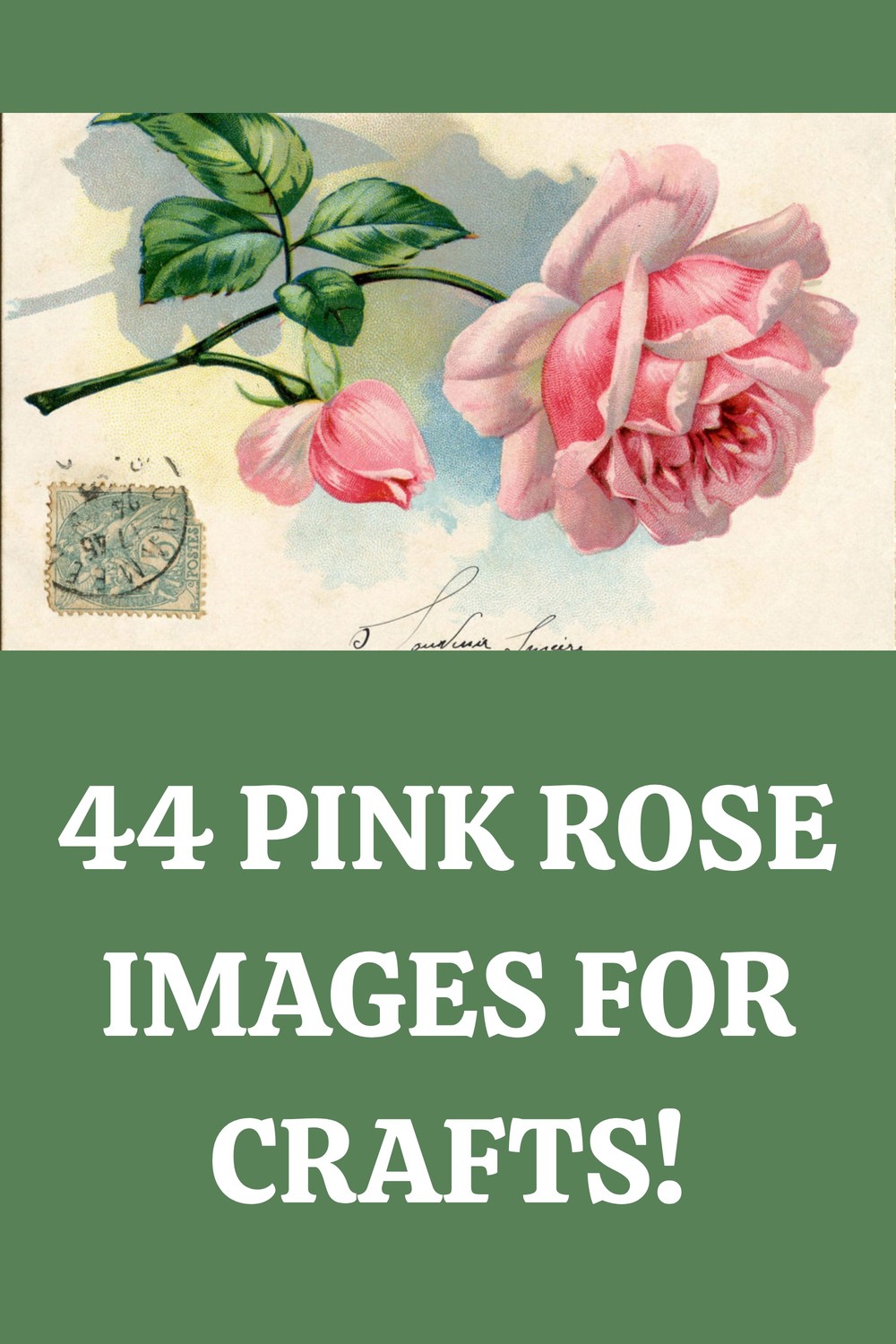 Pink rose Images for Crafts Pin