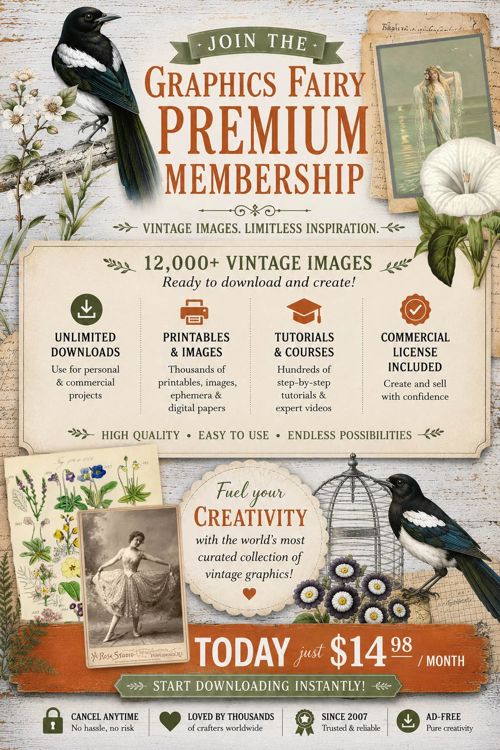 Graphics Fairy Premium Membership Click to Join Now