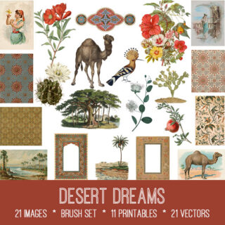 Desert Dreams Graphics