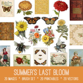 Summer's Last Bloom Graphics