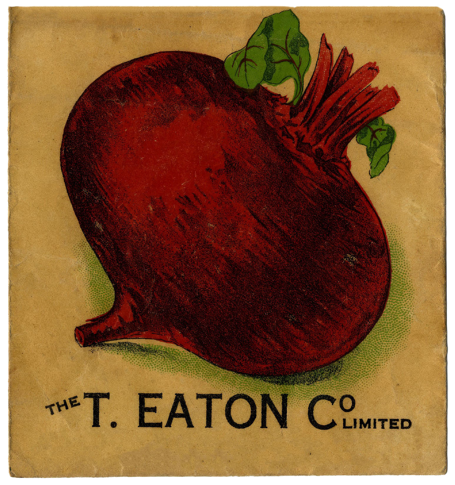 Beet Root