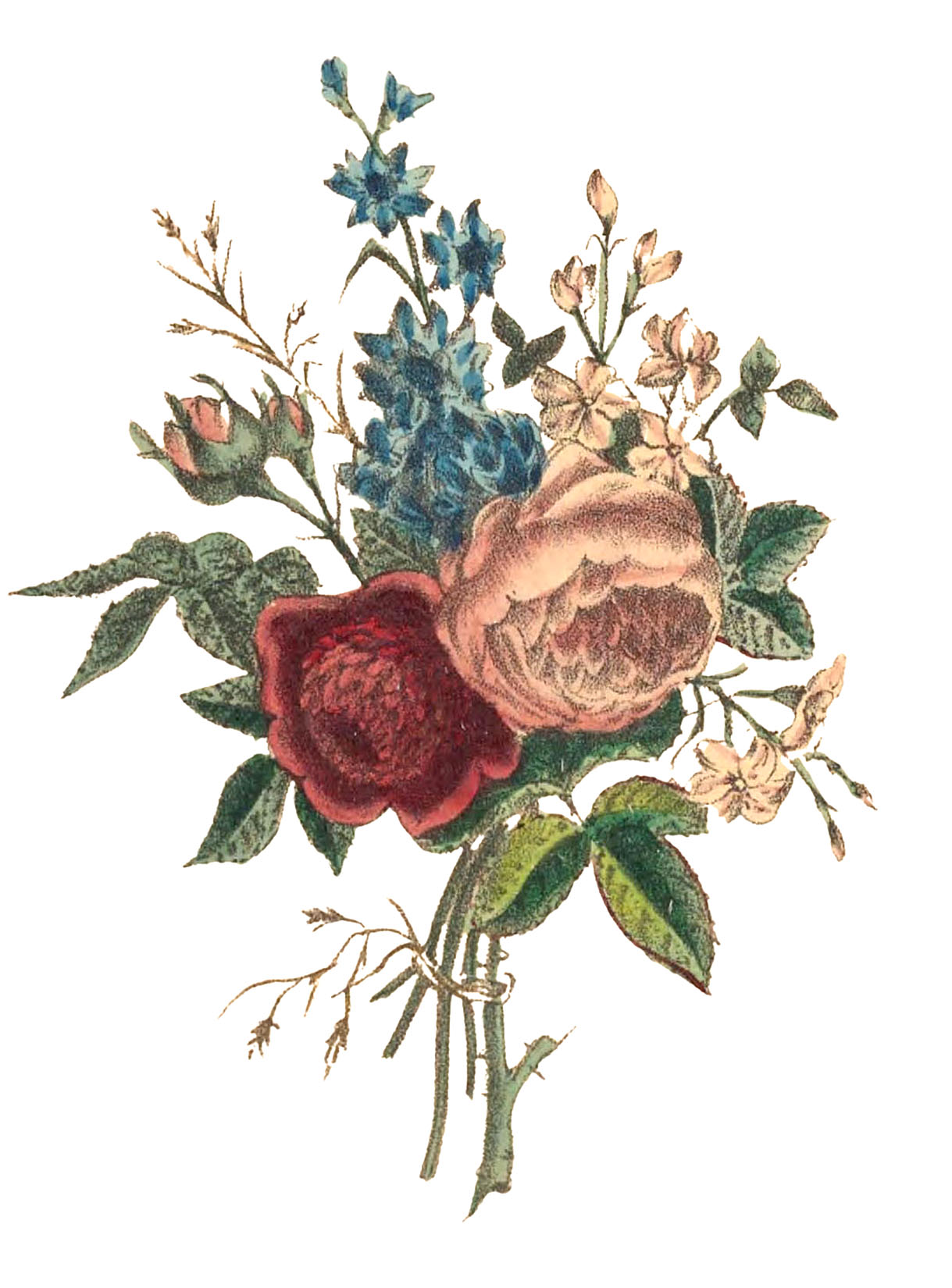 Roses Bouquet