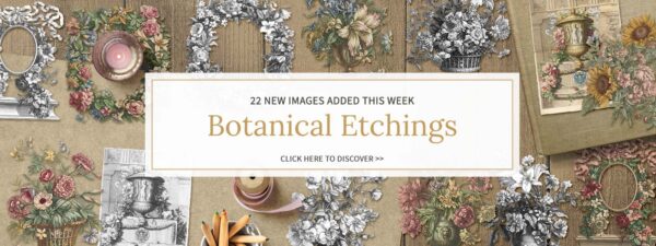 Botanical Etchings New Images