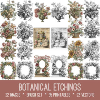 Botanical Etchings Graphics
