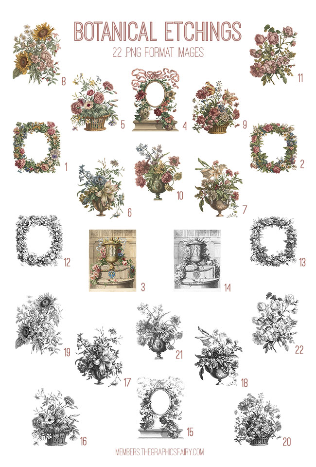 Botanical Etchings Ephemera! Graphics Fairy Premium Membership