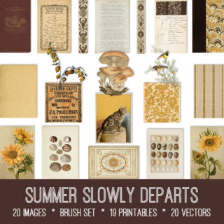 Summer Slowly Departs Graphics