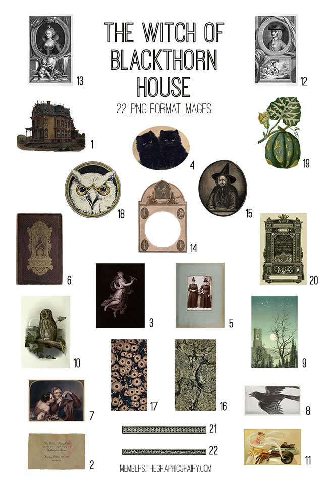 The Witch of Blackthorn House Images