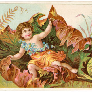 Fall Leaf Fairy