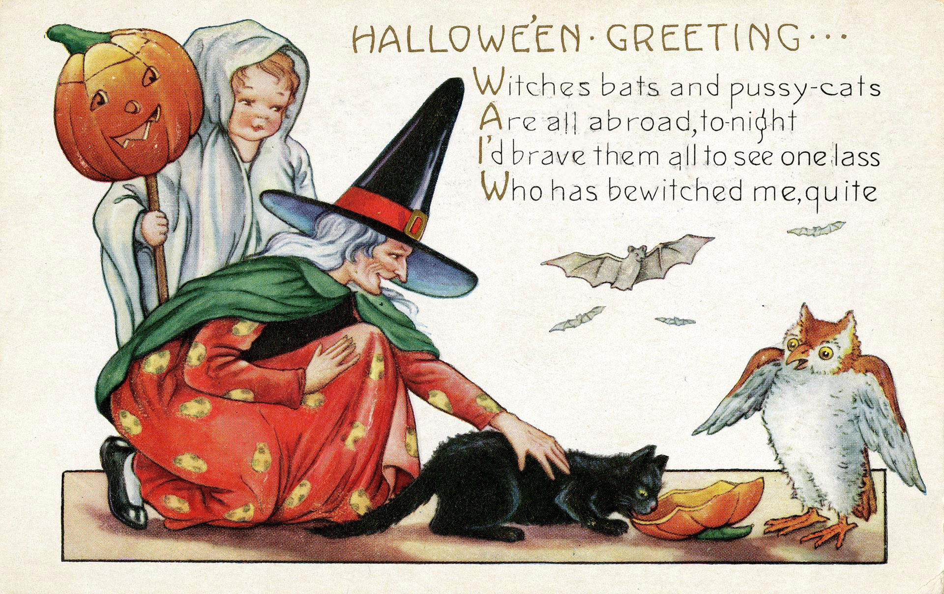 Witch with cat and owl