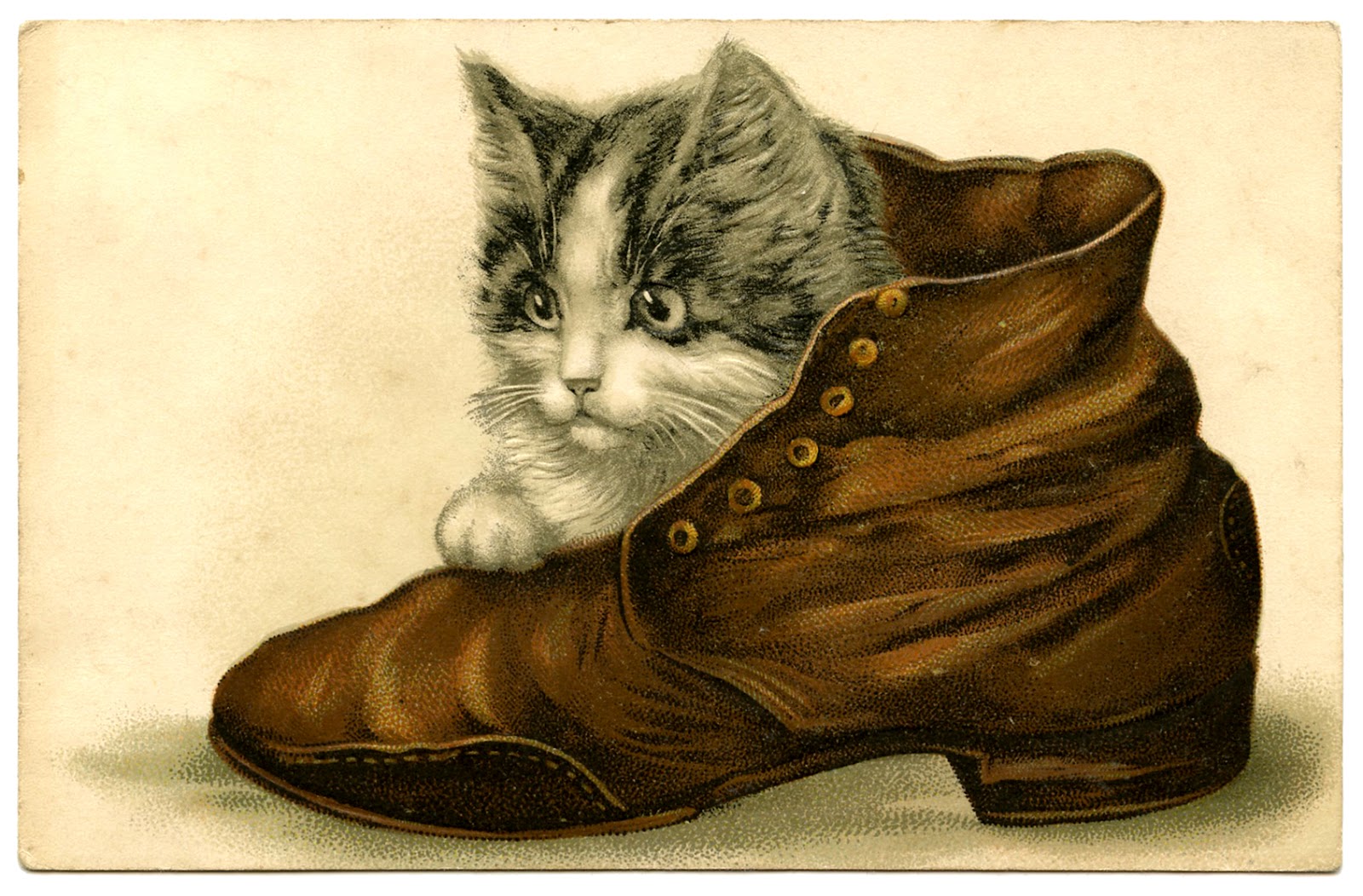 Vintage Graphic - Sweetest Kitten in Shoe - The Graphics Fairy