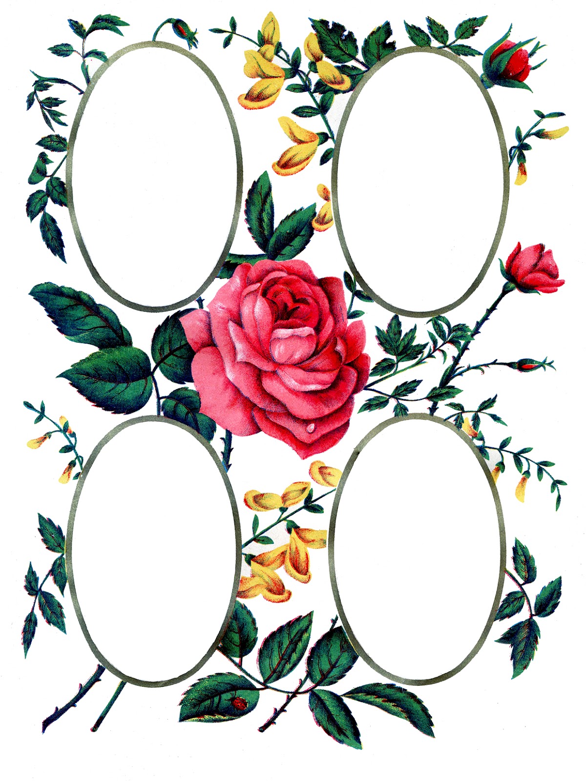 Victorian Album Page Printable - Roses - The Graphics Fairy