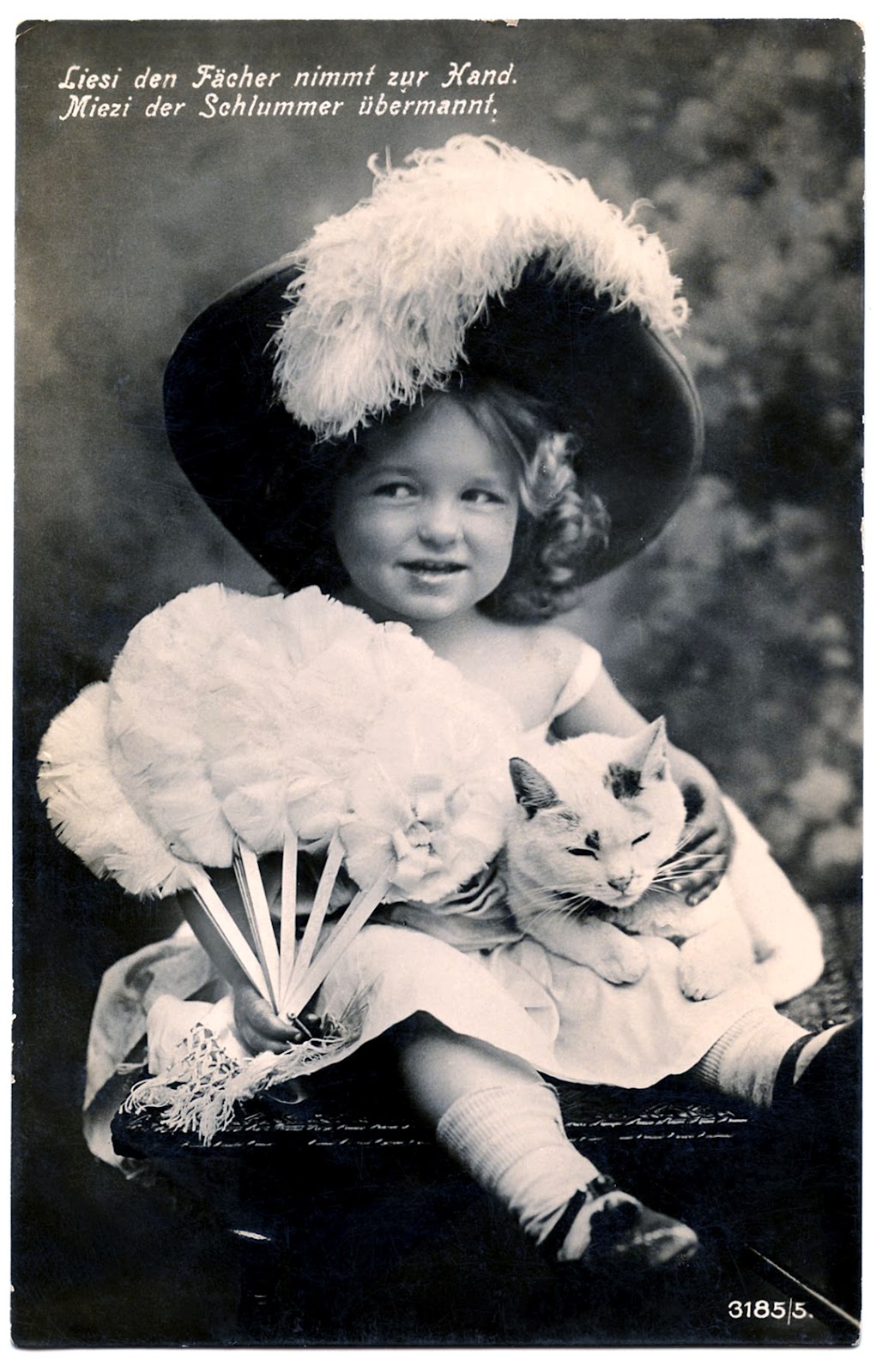 Old Photo Cute Little Girl with Big Hat Cat The 