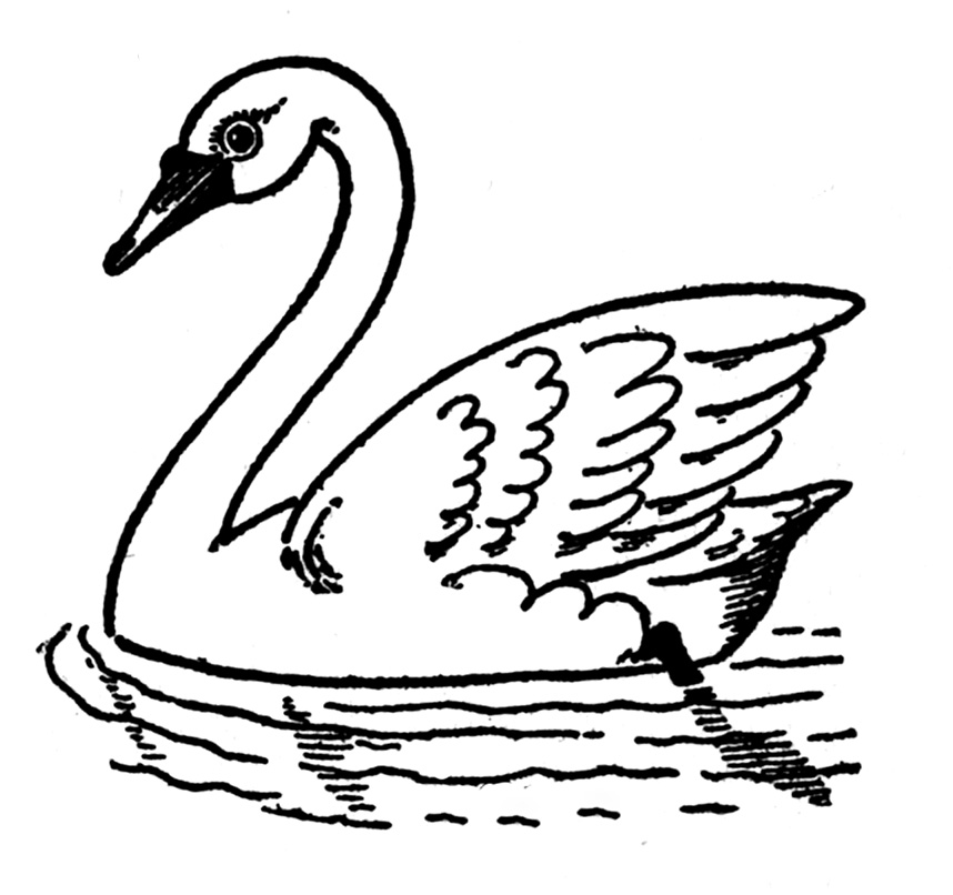How to Draw Swans - The Graphics Fairy