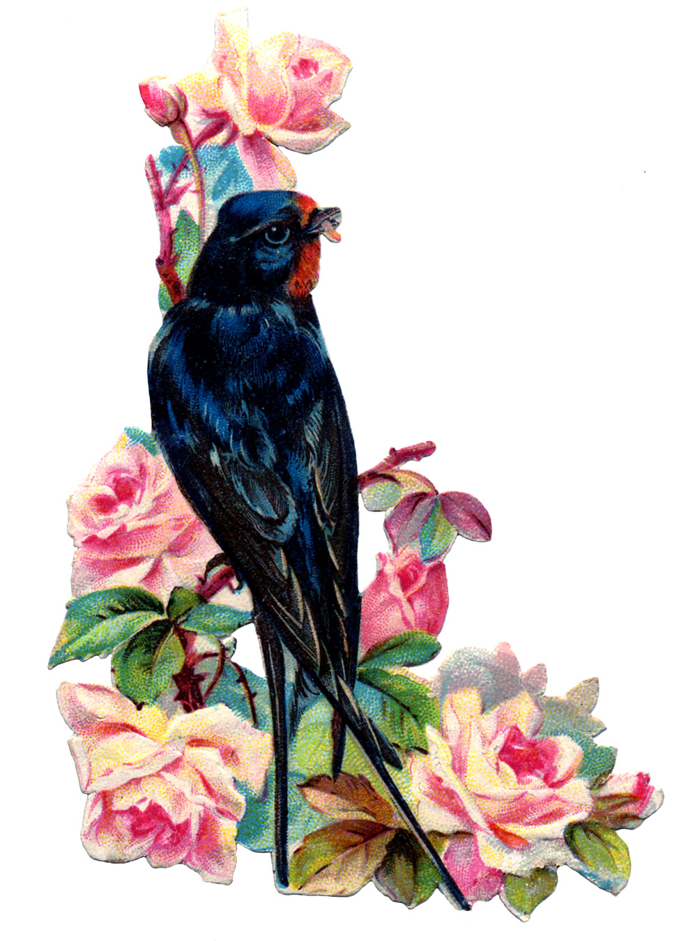 Victorian Bird Image - Swallow with Pink Roses - The Graphics Fairy