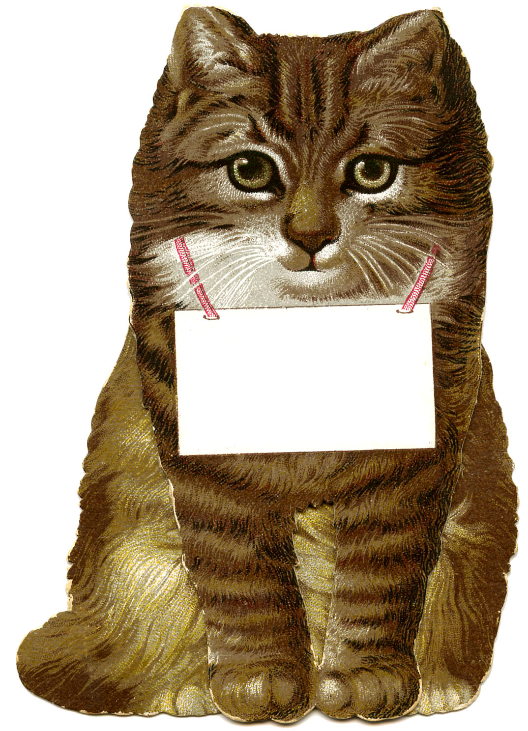 Vintage Clip Art - Cutest Cat Image Ever! - The Graphics Fairy