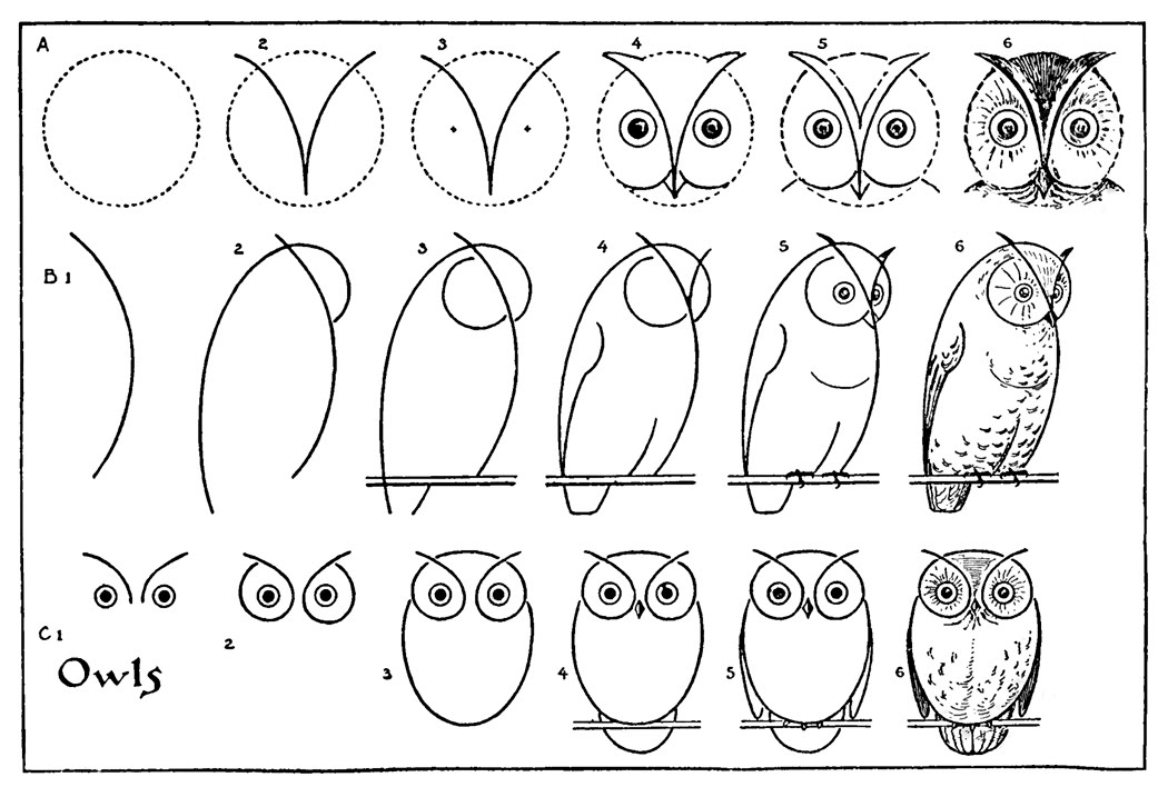 Wonderbaarlijk How to Draw an Owl - with Printable Worksheet - The Graphics Fairy GY-97