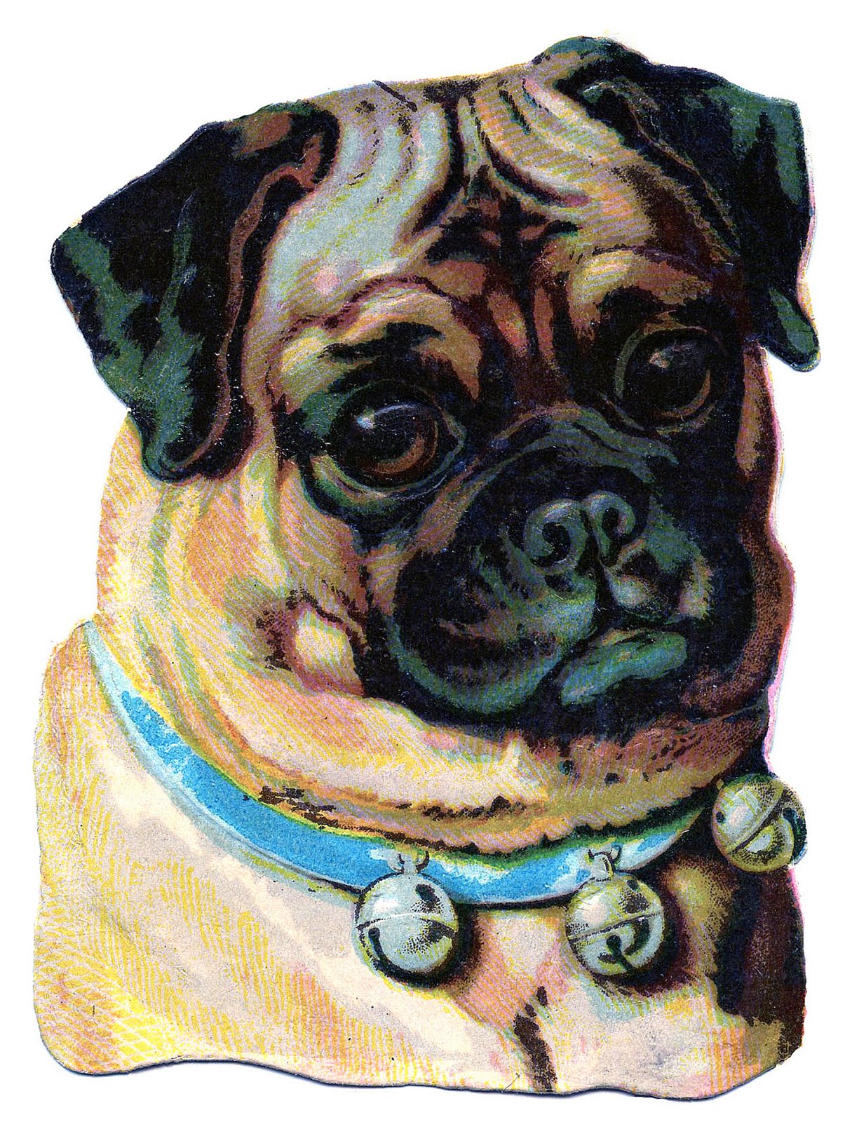Vintage Clip Art - Darling Pug - The Graphics Fairy