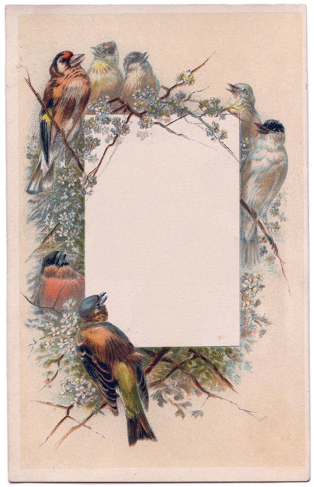 Vintage Frames - Birds and Flowers - The Graphics Fairy