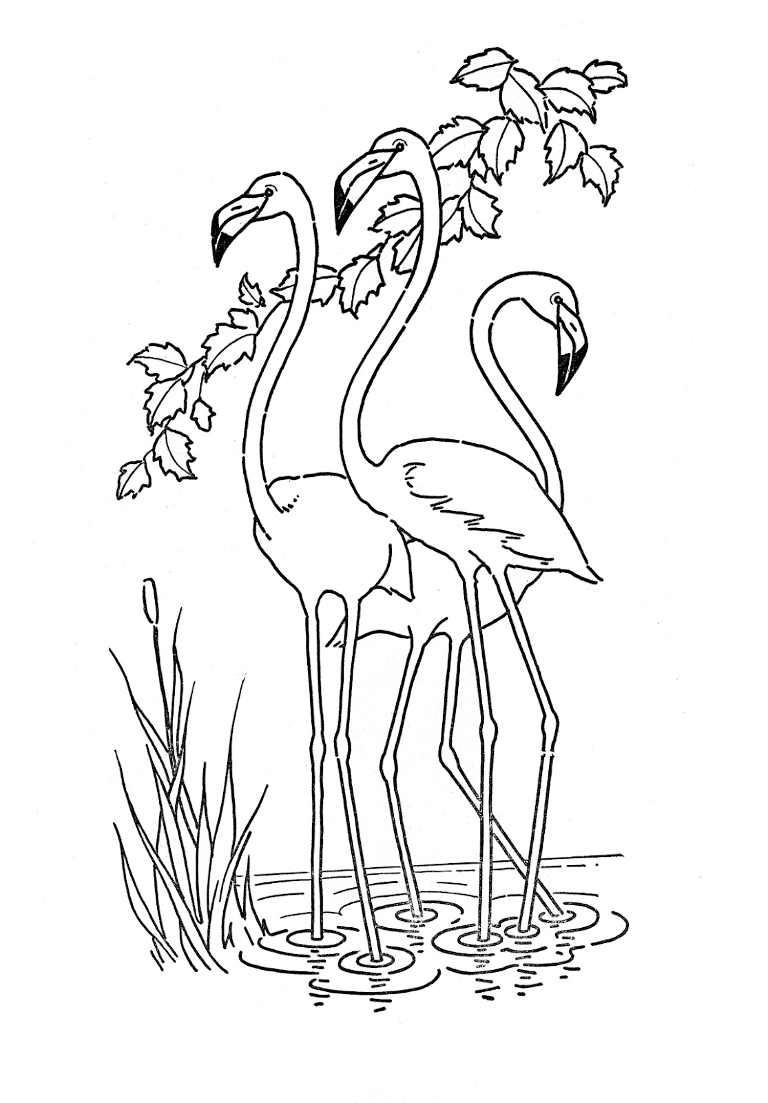 flamingo line art