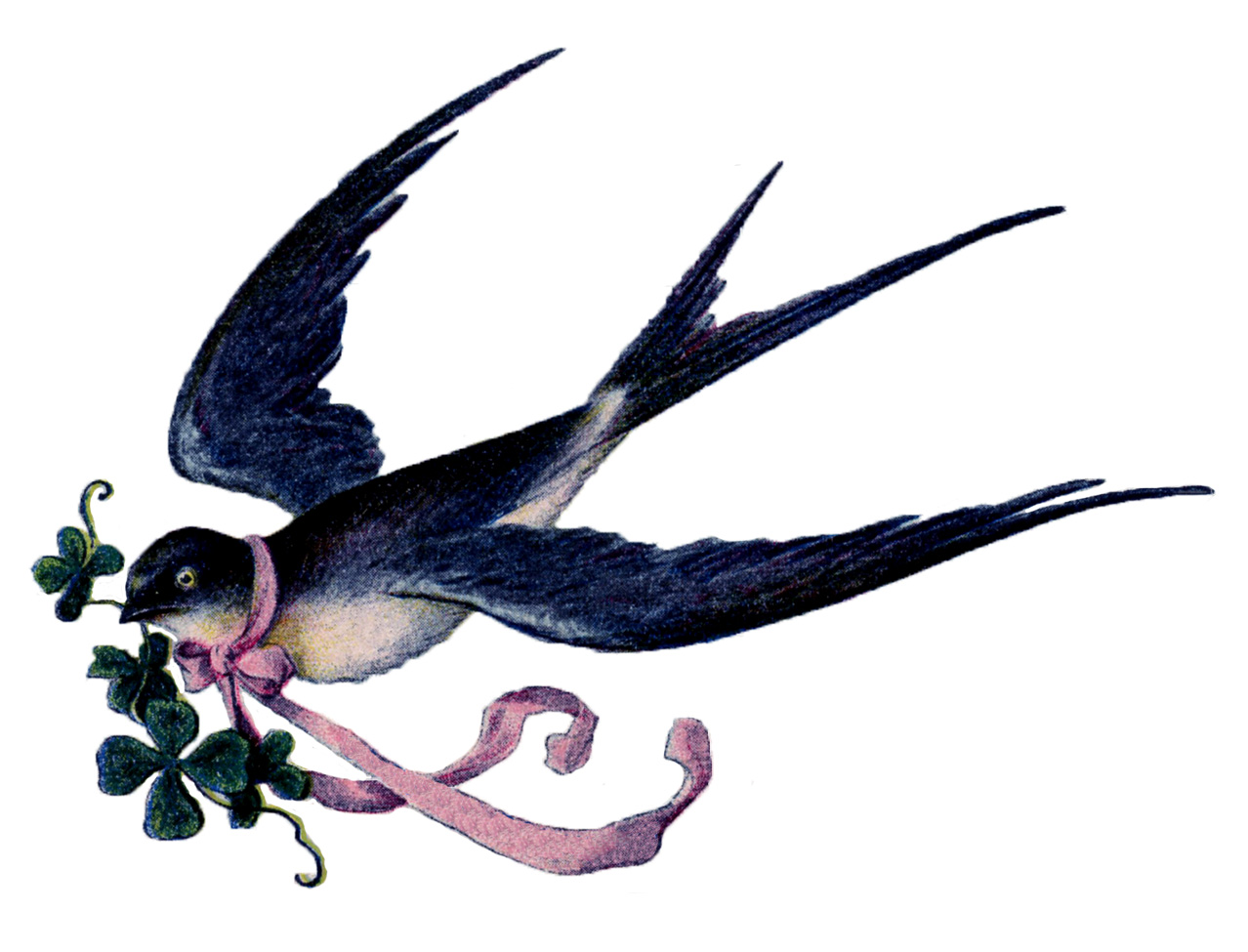 Lovely, lovely Swallow with Pink Ribbon Garland - French - The Graphics