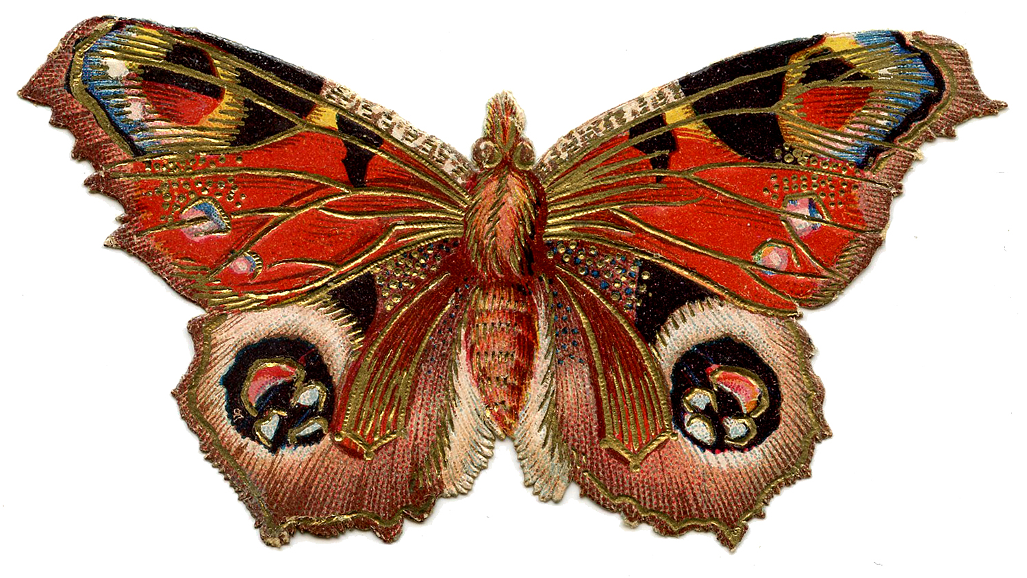 Victorian Graphic - Colorful Butterfly or Moth - The Graphics Fairy